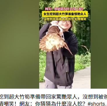 女生以为挖到超大竹笋结果被嘲笑
