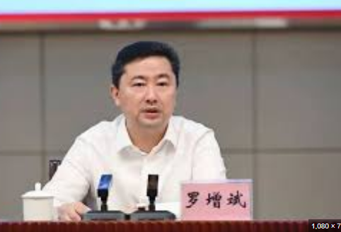 海南省委原常委罗增斌被“双开”