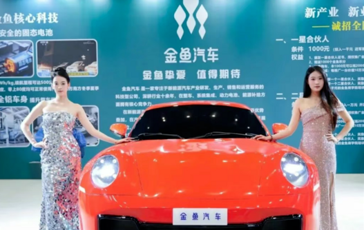<strong>灭鼠药商跨界造车?金鱼汽车啥来头</strong>