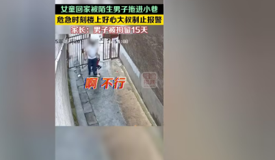 <strong>拖走女童案 “寻衅滋事”为何受质疑</strong>