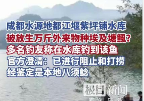 <strong>都江堰水库被放生埃及塘鲺?当地澄清</strong>