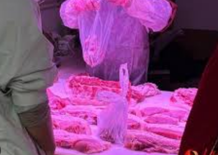 生鲜灯不能两年都关不了