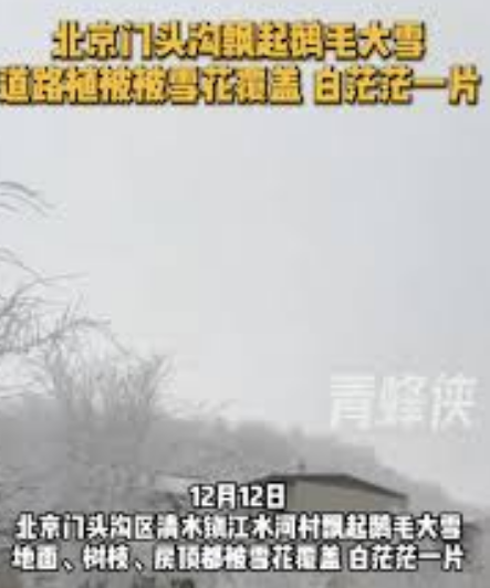 北京门头沟飘起鹅毛大雪