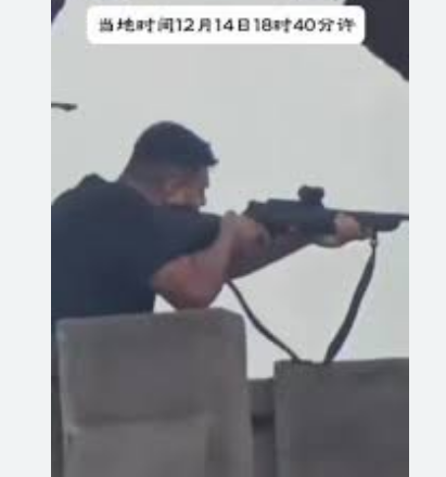 近距离看澳洲枪击案凶手开火画面