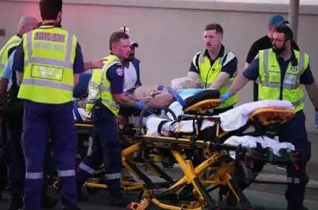 澳枪击目击者:扫射十分钟 宛如炼狱