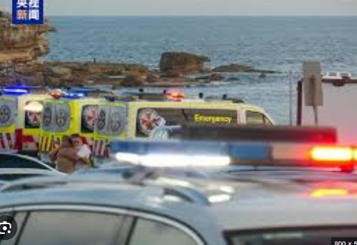 澳大利亚全国降半旗志哀