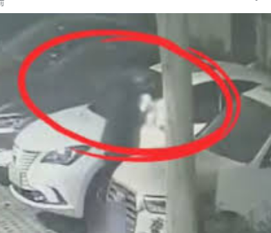 <strong>看到报警!这种小卡片是电诈引流工具</strong>