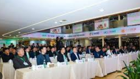 高市早苗被日本议员当众贴脸开大