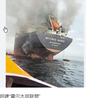 <strong>美国为何要组建“霍尔木兹联盟”</strong>