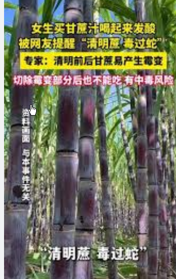 <strong>清明蔗毒过蛇?专家提醒</strong>