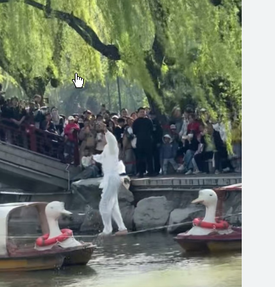 <strong>演员水上跳绳表演失误掉入湖中</strong>