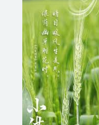 <strong>今日小满 万物小得盈满</strong>