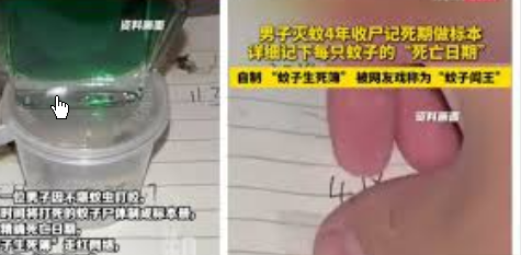 <strong>男子打死蚊子做标本 自制蚊子生死簿</strong>