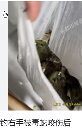 <strong>男子夜钓右手被毒蛇咬伤后继续钓鱼</strong>