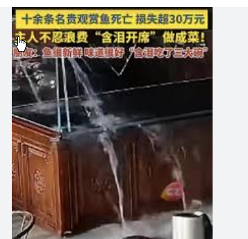 <strong>鱼缸到临界点“哐”爆裂损失30多万</strong>
