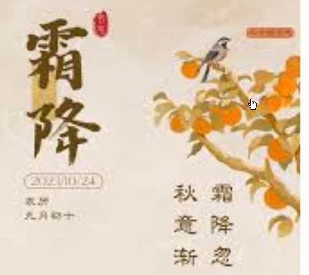 <strong>好“柿”成“霜” 喜从天“降”</strong>
